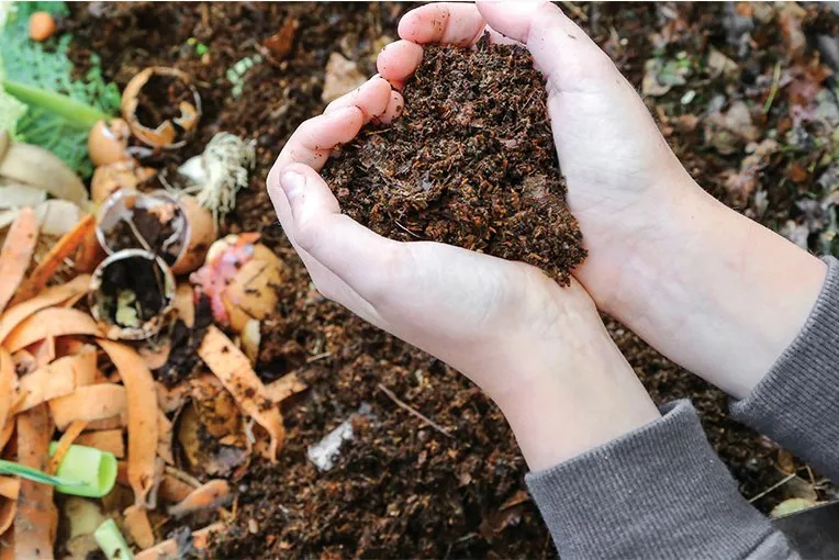 Damaged Garden Soil - Restore Quality With Better Compost
