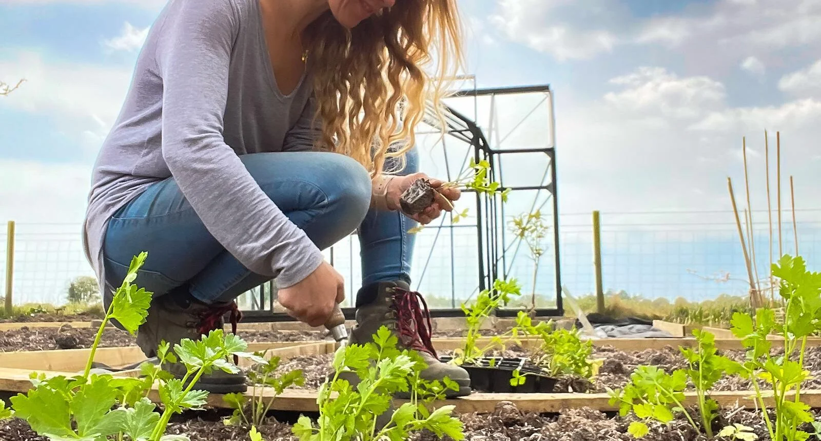 Weak Vegetable Growth - Improve Harvests With Better Soil