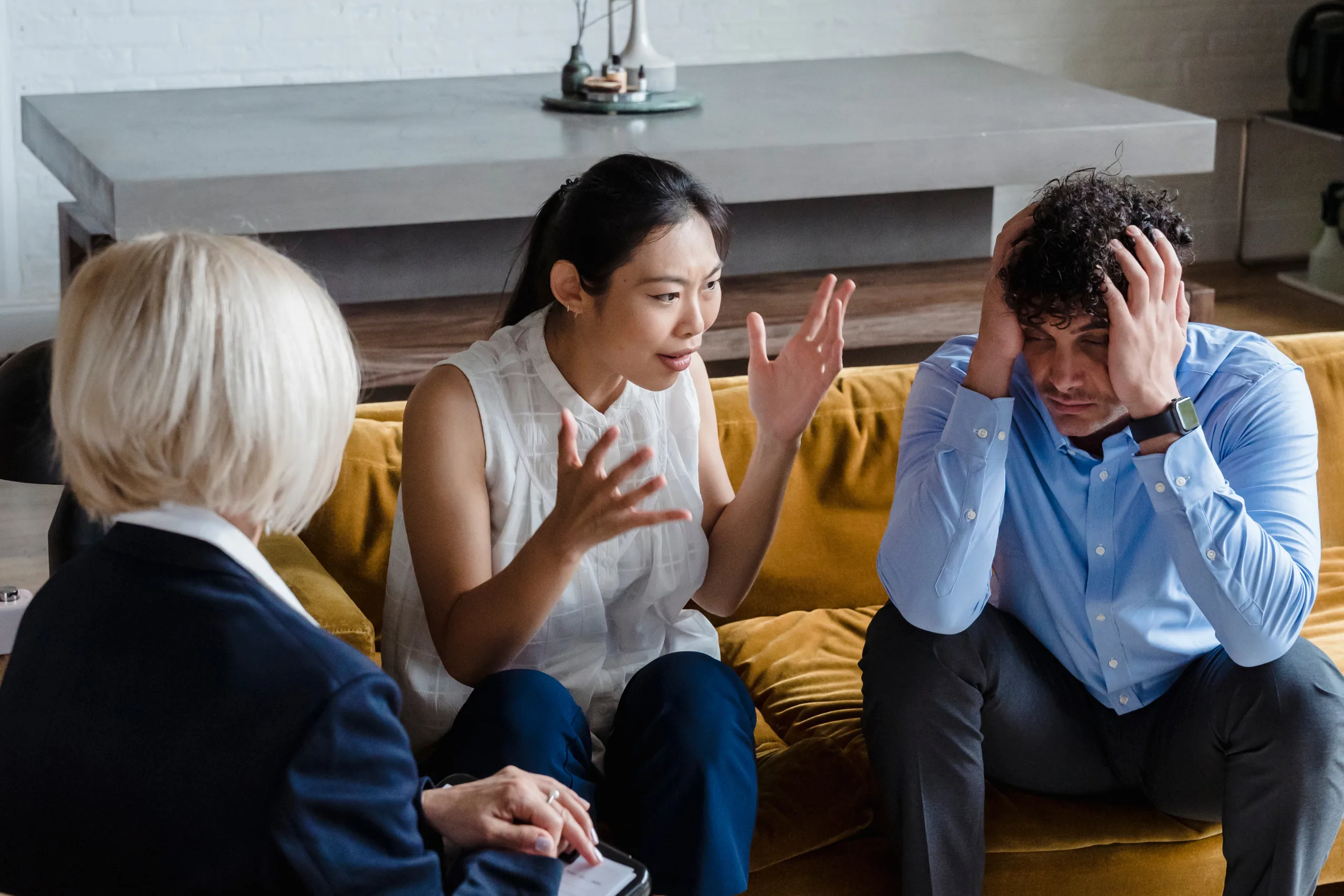 Family Mediation Challenges: Prepare Priorities Before Discussions Begin