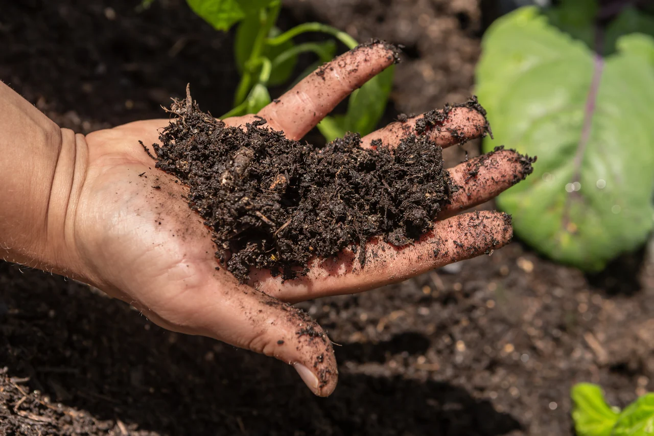 Weak Compost Quality - Balance Materials for Better Soil