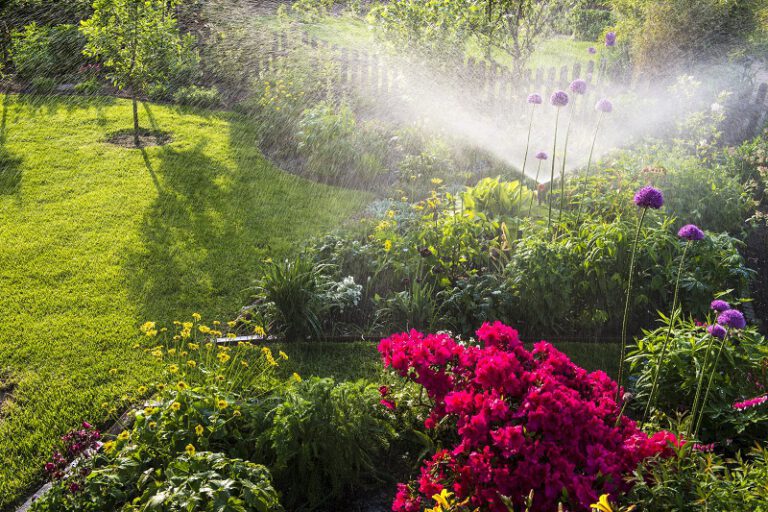 Overwatered Garden Plants - Prevent Root Damage and Rot