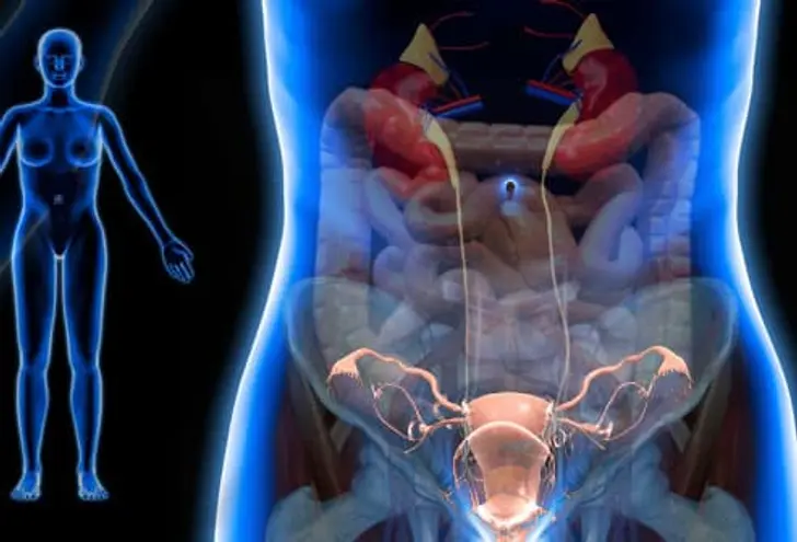 Painful Pelvic Symptoms - Document Patterns Before Medical Visits
